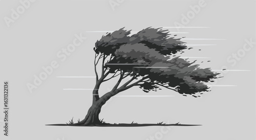 Windswept Tree Isolated tree bending during a storm, in a gray monotone background