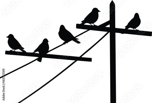  birds on power wires silhouette vector