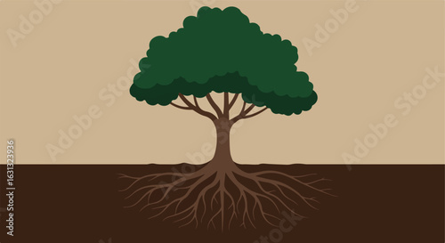 Tree With Roots Below Ground Level, Growth Concept