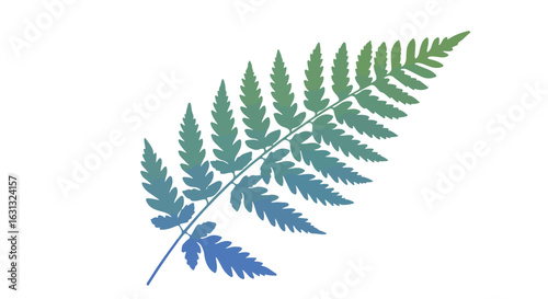 Gradient fern frond on white background for design