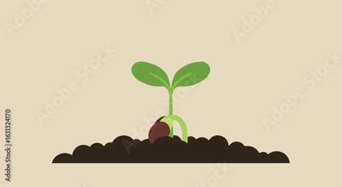 Seedling emerging from soil on a beige background for ecological uses