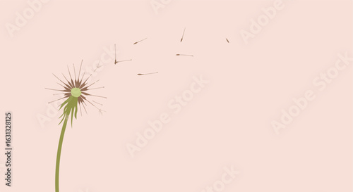 Dandelion seed blowing on pastel. Ideal background for simple design ideas