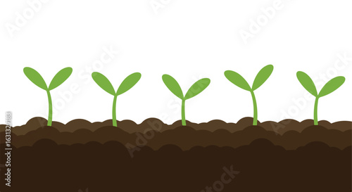 Seedlings emerge from soil in a white background, for growth concepts