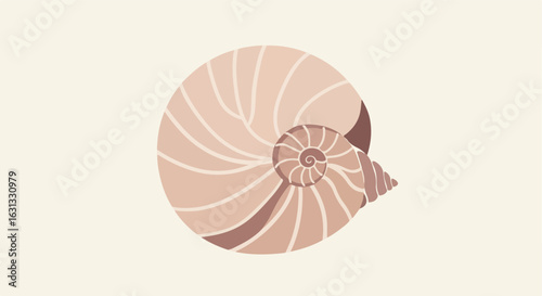 Graphic nautilus design on a solid, off-white background for decoration use