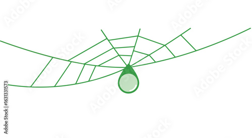 Green web with a drop hanging.  Isolated background. Conceptual use