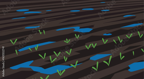 Sprouting Seeds Emerge in a Flooded Field, Ideal for Ecology Illustrations