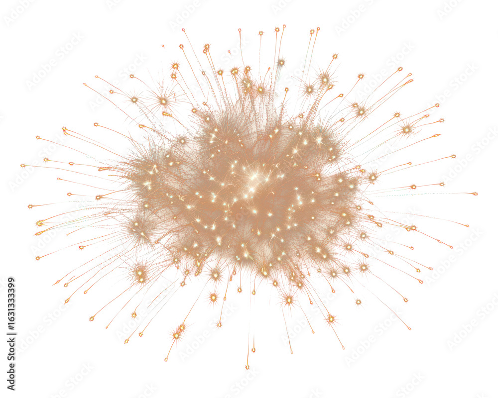 Obraz premium PNG Firework emitted fireworks outdoors night.