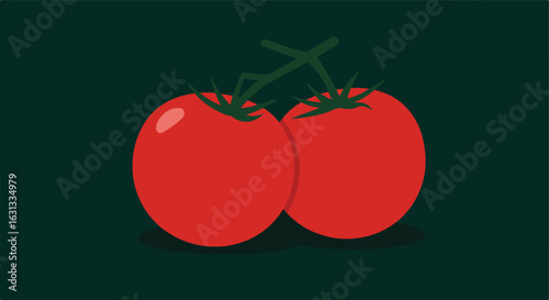 Two red tomatoes on vine against dark background. Food, salad, recipes