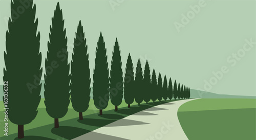Road surrounded by cypress trees in Tuscan countryside. Tourism, travel concept