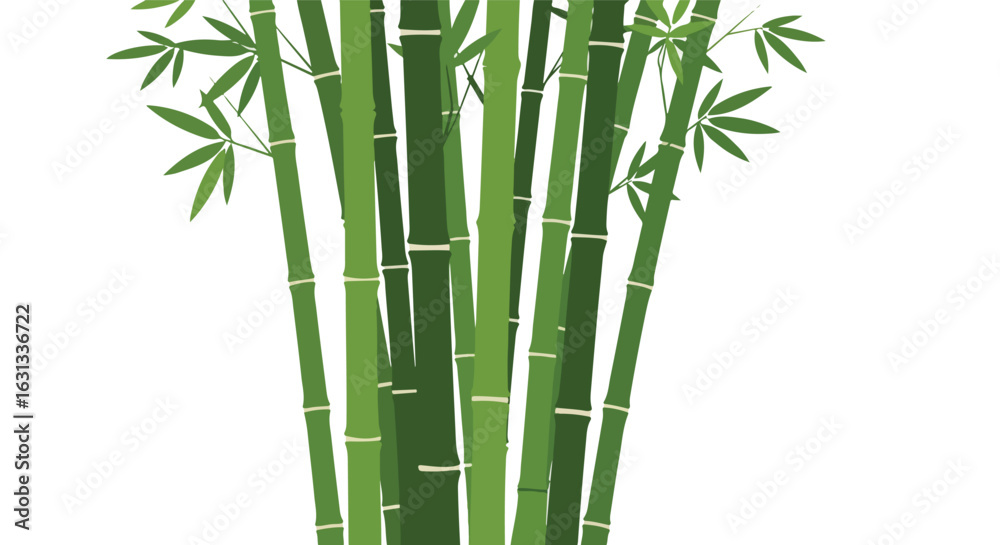 Obraz premium Graphic design with bamboo on white background for a Japanese-themed art