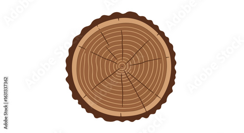 Circular log slice on white background for crafting and woodworking projects