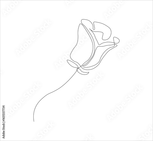 One continuous line drawing of a red rose flower.white background, Rose flower outline vector illustration,vector illustration