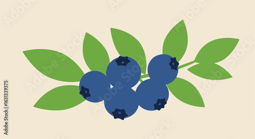 Illustration of blueberries with leaves on solid background for food concept