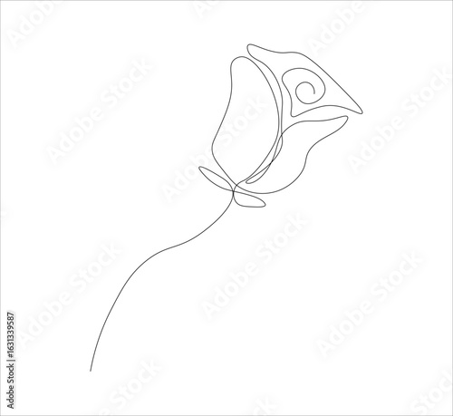 One continuous line drawing of a red rose flower.white background, Rose flower outline vector illustration,vector illustration