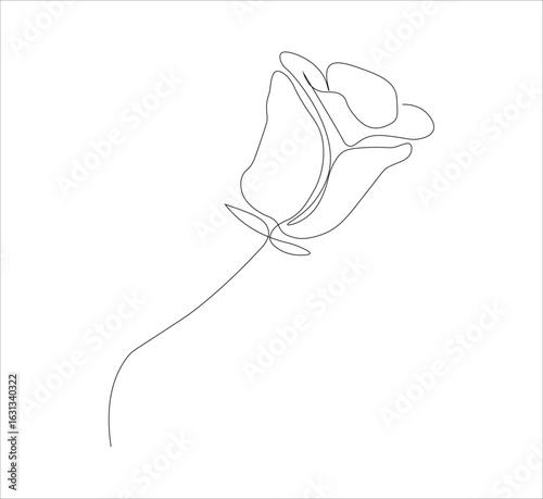 One continuous line drawing of a red rose flower.white background, Rose flower outline vector illustration,vector illustration