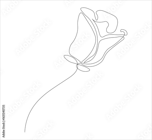 One continuous line drawing of a red rose flower.white background, Rose flower outline vector illustration,vector illustration