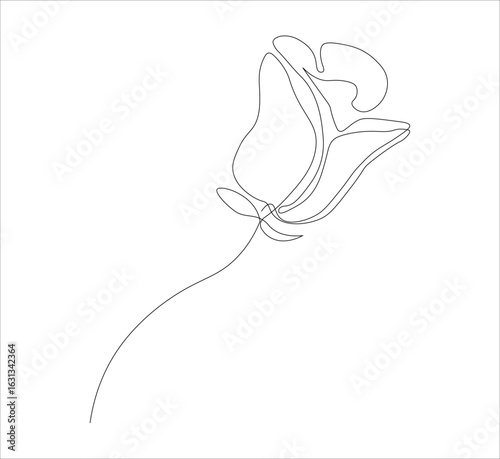 One continuous line drawing of a red rose flower.white background, Rose flower outline vector illustration,vector illustration