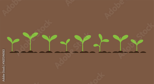 Seedlings growing in soil represent growth. Can be used for eco-friendly ads