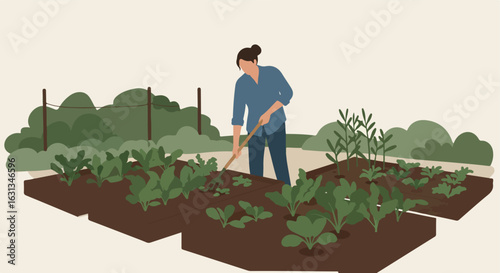 Gardener raking soil in garden with leafy green crops, shrubs in background