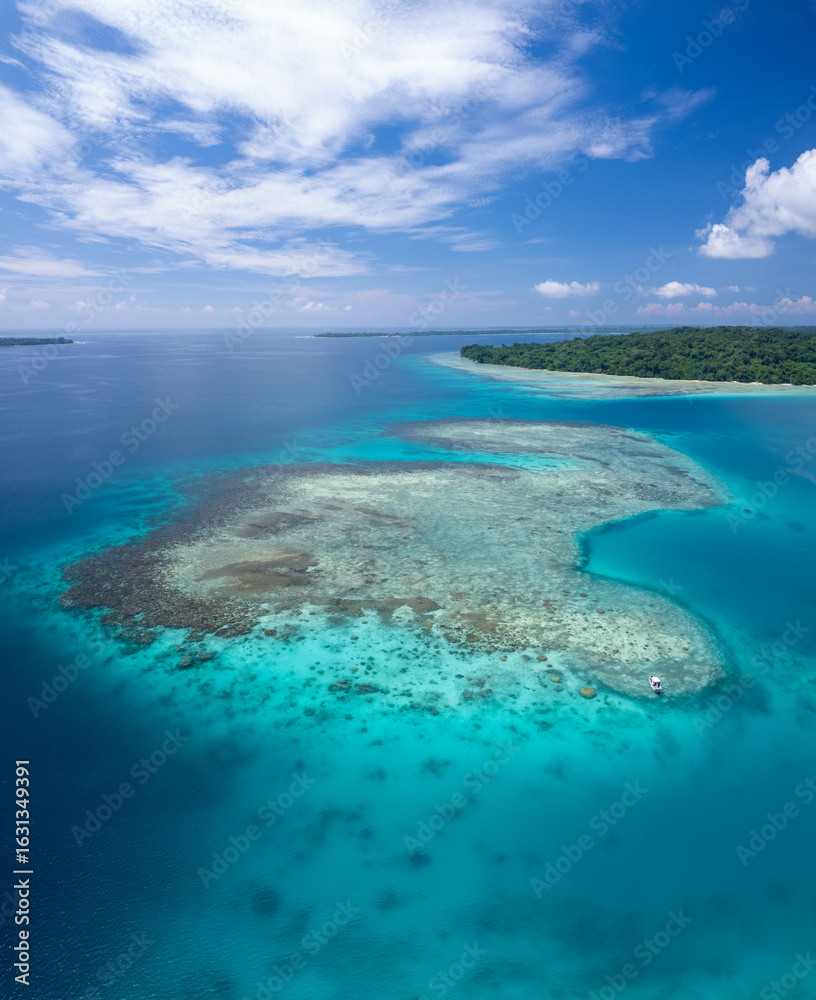 Obraz premium Snorkelling Espiritu Santo, Vanuatu
