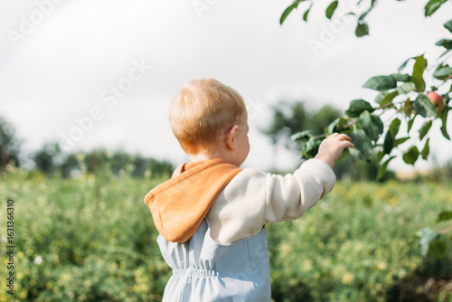 A red-haired little boy holds a branch of an apple tree with his hand and looks into the distance