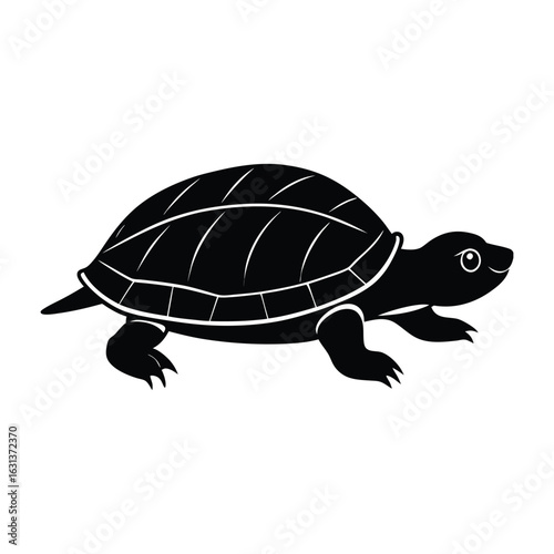 turtle vector illustration