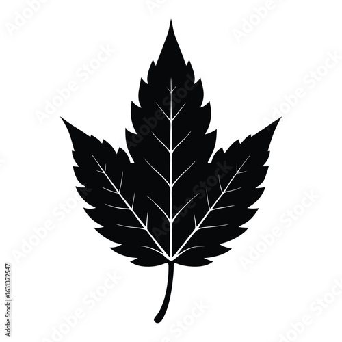 leaf silhouette vector