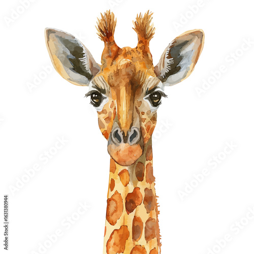 Giraffe, watercolor painting vector, isolated on a white background.
