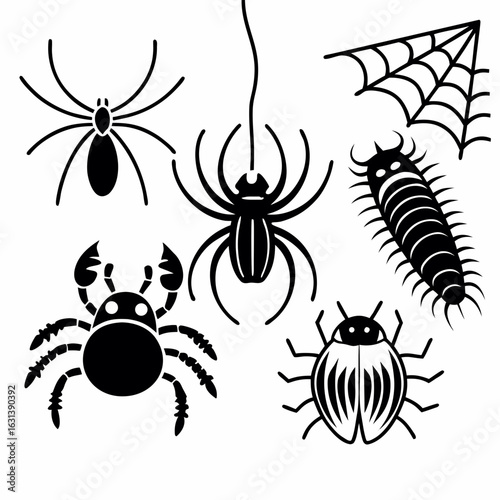 Illustration of various arachnids and insects including spiders and a centipede