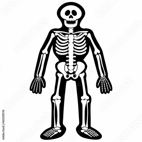 Illustration of a full skeleton with ribs, arms, legs and skull in black and white