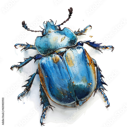 Dung Beetle, watercolor drawing vector, isolated on a white background.