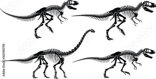 Tyrannosaurus rex skeleton, sauropod dinosaur bones, prehistoric anatomy, fossil illustration, bipedal theropod, quadrupedal sauropod, extinct species, paleontology, science, evolution, museum