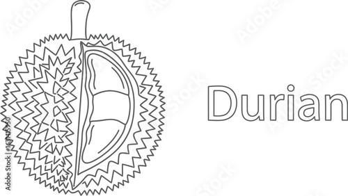 Illustration of durian in a handdrawn style, featuring a collection of different types of fruits, perfect for illustrating healthy eating