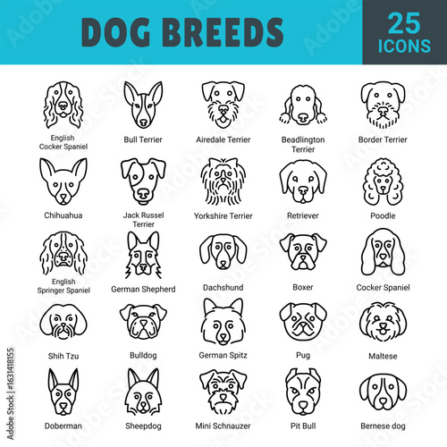 Dog breeds icons showcase a variety of popular and recognizable canine types, from small companions to large working dogs. Perfect for pet apps, vet services, and dog-related branding.