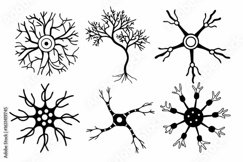 Set of stylized neuron illustrations isolated on white background