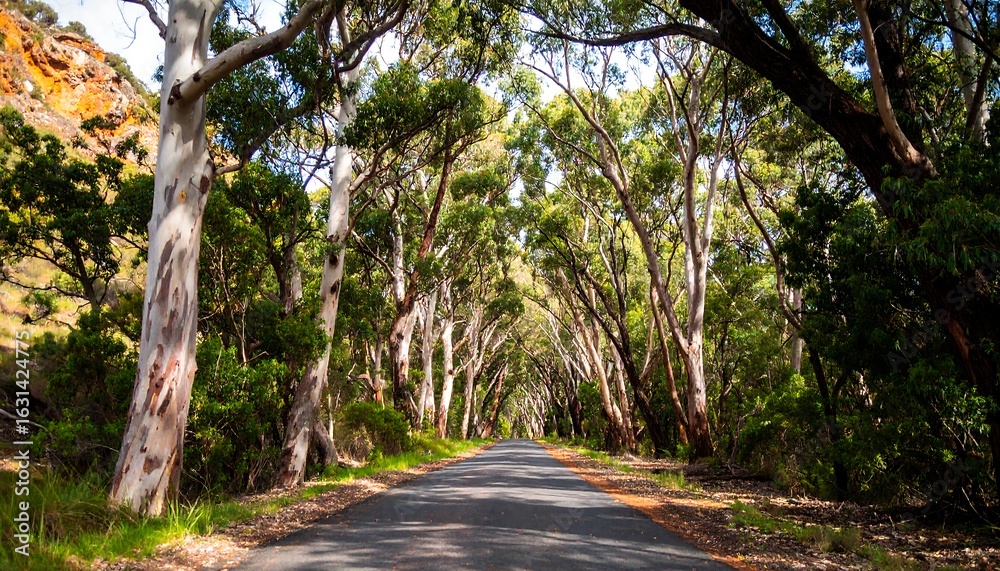 Fototapeta premium Forest road tunnel