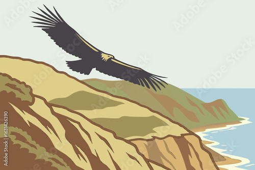 A condor soars above the cliffs of Big Sur, California, its massive wingspan gliding over coastal wilderness.