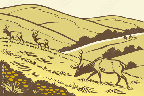 A herd of tule elk grazes the grasslands of Point Reyes, California, preserved as part of the state’s native heritage.