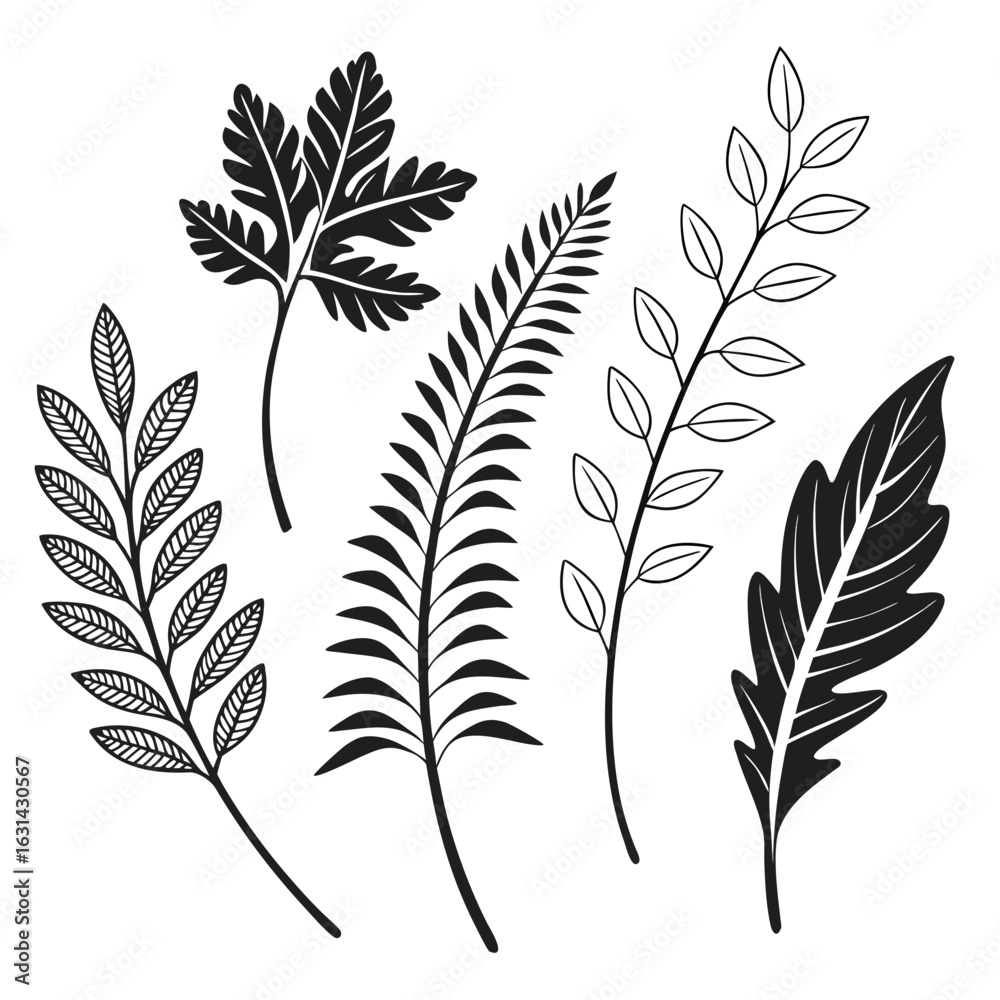 Obraz premium Botanical Leaves Black and White Set