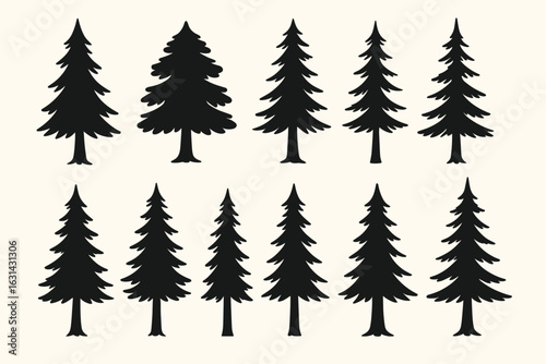 Pine coniferous tree silhouette collection vector set. Forest evergreen spruce fir Christmas trees black shapes. Nature woodland wilderness botanical illustration design elements