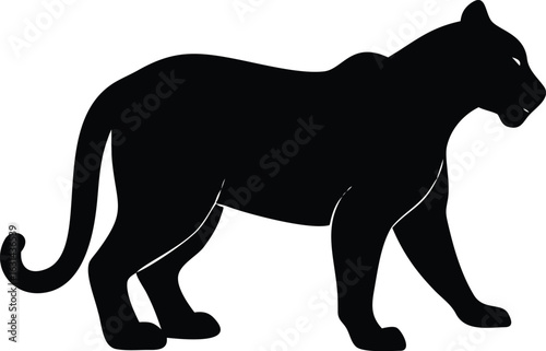 Black panther silhouette of sleek wild feline in walking pose isolated on white background