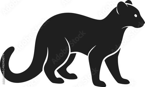 Jaguarundi silhouette of sleek wild feline with long tail and short legs isolated on white background