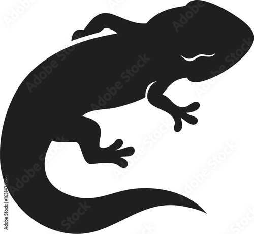 Newt silhouette of small amphibian with slender body and long tail isolated on white background