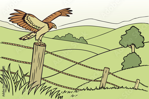 A raptor spreads its wings on a fence post in Grass Valley, California, scanning rolling pastures for movement.