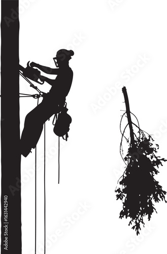 Print Vector art of silhouette of a female arborist working on a tree with safety equipment