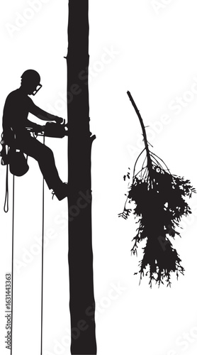 Print Vector art of silhouette of a female arborist working on a tree with safety equipment