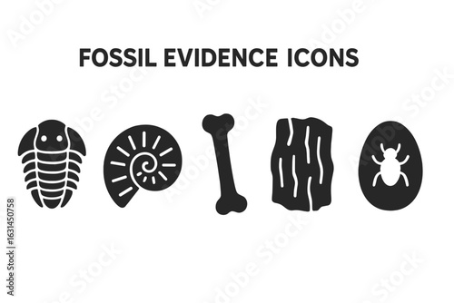 Fossil Evidence Silhouette Icons Set – Trilobite, Ammonite Spiral, Dinosaur Bone, Petrified Wood, Insect in Amber Egg – Prehistoric Paleontology Symbols, Solid Black Vector Illustration