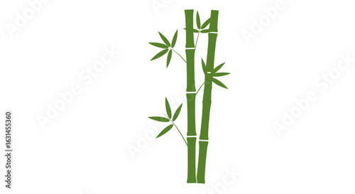A green bamboo stalk with leaves,  vector illustrator.