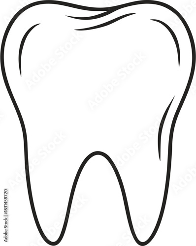 Minimalist line art illustration of a human molar tooth. Vector icon for dentistry, dental care, and oral hygiene concepts.