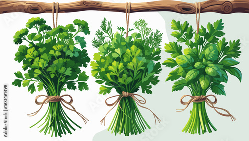 Illustration of fresh herbs tied in bunches hanging in a kitchen setting